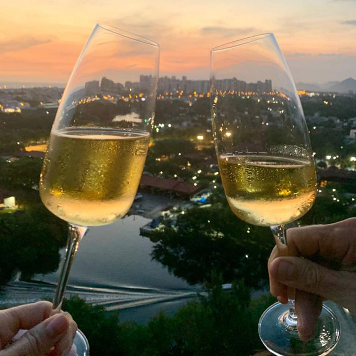 Taça de champagne 260 ml grande de cristal titânium