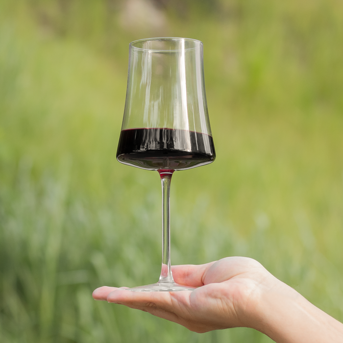 Jogo de Taças de Vinho Cristal Coleção Extrême 660ml 6 Peças
