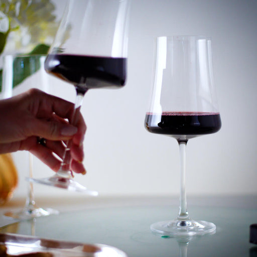 Jogo de 6 taças grandes para vinho tinto de Titânium