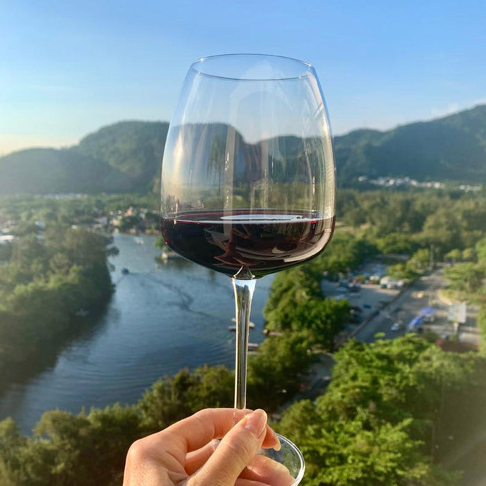 Taça de vinho tinto cristal Bohêmia de Titânio Grande